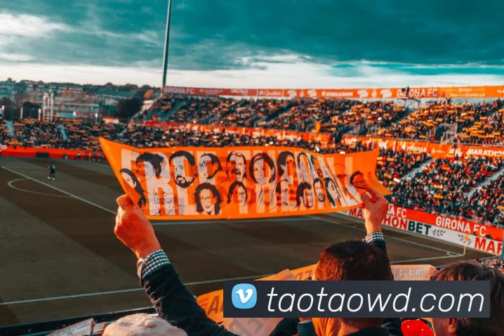 多媒体互动体验